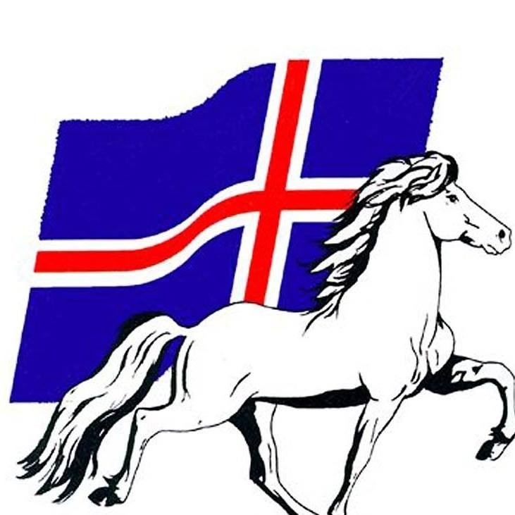 Yfirlitssýning stóðhesta á FM 2017 | Ráðgjafarmiðstöð landbúnaðarins