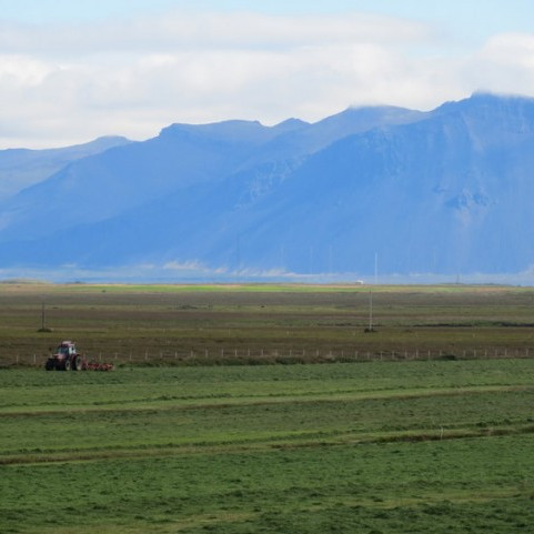Tryggjum gróffóðurgæðin!