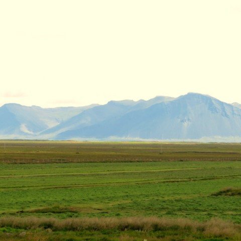 Uppskeruskráning í Jörð.is