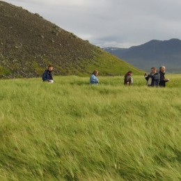 Heimsókn með ráðunautum í kornakra