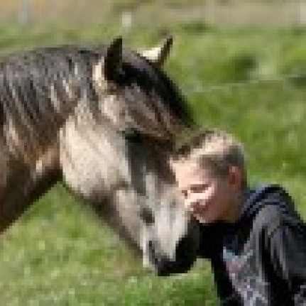 Síðsumarssýning á Gaddstaðaflötum 18.-22. ágúst. Síðasti skráningardagur er 8. ágúst.