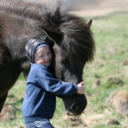 Yfirlitssýning eftir seinni viku á Gaddstaðaflötum fer fram föstudaginn 12. júní og hefst klukkan 8:…