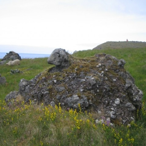 Uppfærsla Fjárvís 23/06/2015