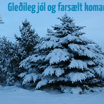 Gleðileg jól - Opnunartími um hátíðarnar