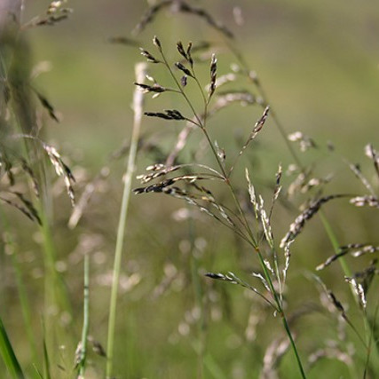 Skráningarblöð í dráttarvélina