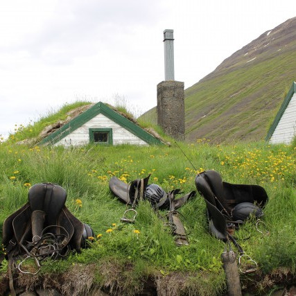 Röðun hrossa á kynbótasýningu á Mið-Fossum dagana 1.-2. júní