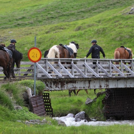 Yfirlit á Stekkhólma á Héraði - Hollaröð