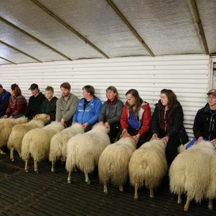 Svipmyndir frá héraðssýningu á Snæfellsnesi