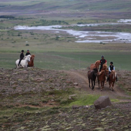 Uppfærðar leiðbeiningar með heimarétt WF