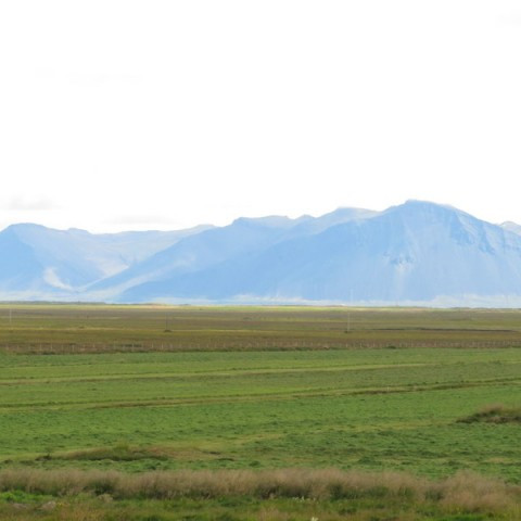 Tilraunir með þvagefni sem nituráburð hjá LbhÍ