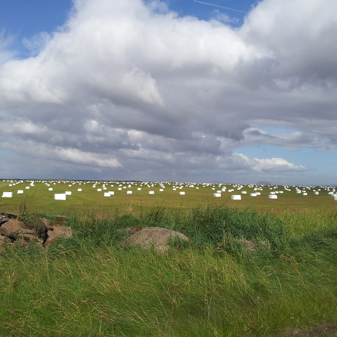 Námskeið í Jörð.is - Skráningarfrestur að renna út