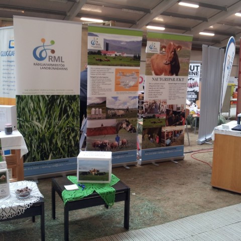 Fallegasta kýrnafnið valið á Sveitasælu í Skagafirði