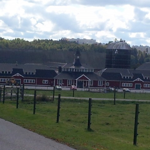 Árlegur stefnumótunarfundur NorFor í Svíþjóð