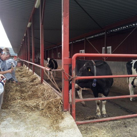 Vinnufundur NorFor í Svíþjóð