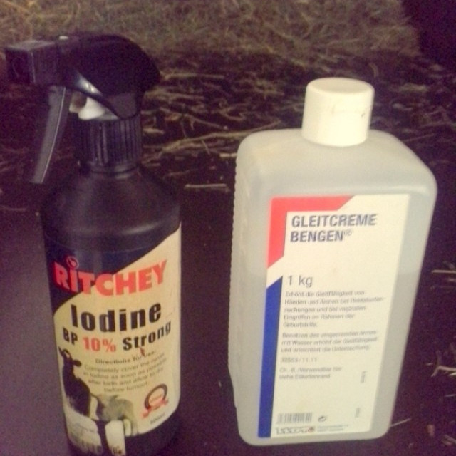 Samningur við dýralækni