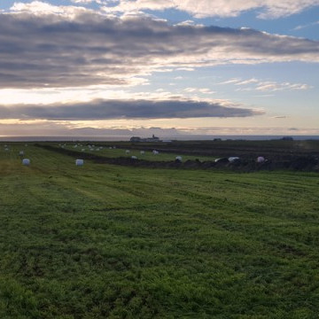 Skipulag heysýnatöku á Suðurlandi