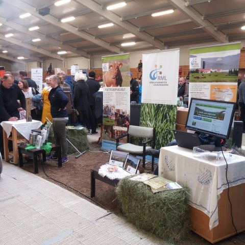 Sveitasæla í Skagafirði