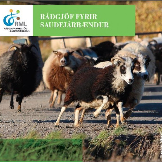 Upplýsingar til sauðfjárbænda