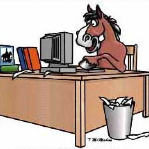 Er búið að taka DNA úr mér?