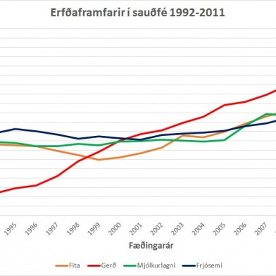Kynbótamat sauðfjár 2014