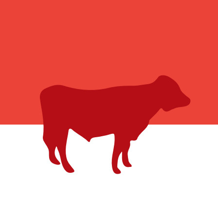 EUROP-kjötmat nautgripa tekur gildi 1. júlí n.k.