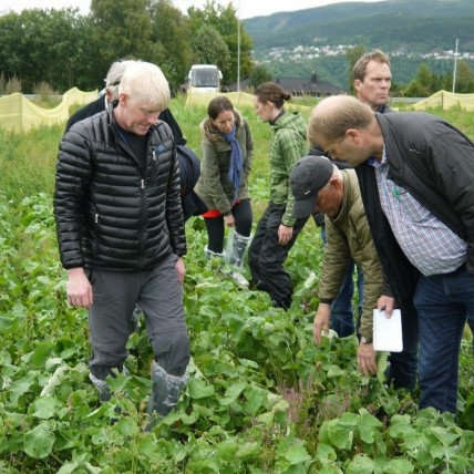 Gulrófnabændur í kynnisferð til Noregs