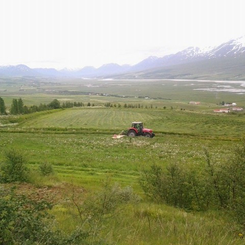 Hákon B. Harðarson sigraði í myndaleik RML á facebook