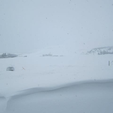 Frá Heiðargarði í Aðaldal