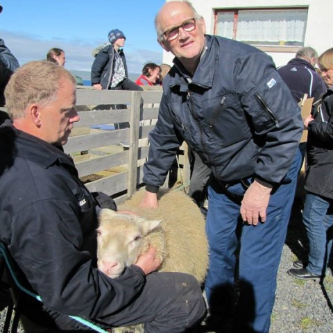 Kristján Albertsson við dómastörf