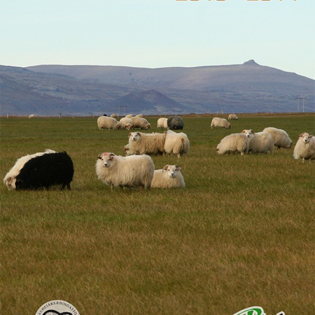 Hrútaskrá 2013-2014 væntanleg