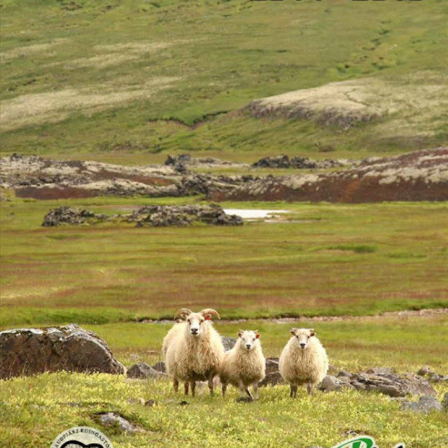 Hrútaskráin 2014-15 væntanleg - komin á vefinn