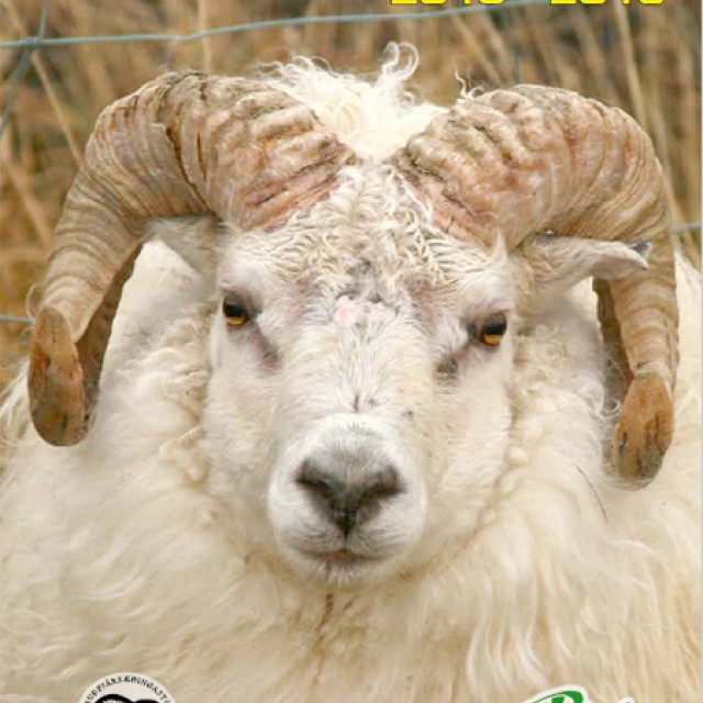 Hrútaskráin er komin á vefinn