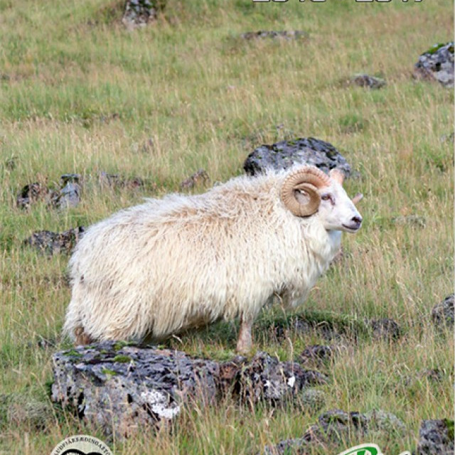 Hrútaskrá 2016-17 er komin á vefinn