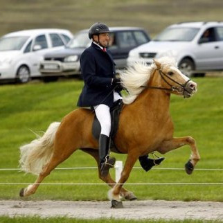 Hvíta-Sunna frá Sauðárkróki. (Mynd: hervar.com)