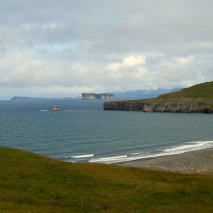 Sauðfjárskólinn verður í Skagafirði