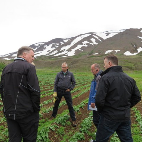 Kartöflu- og kornskoðun með Benny Jensen