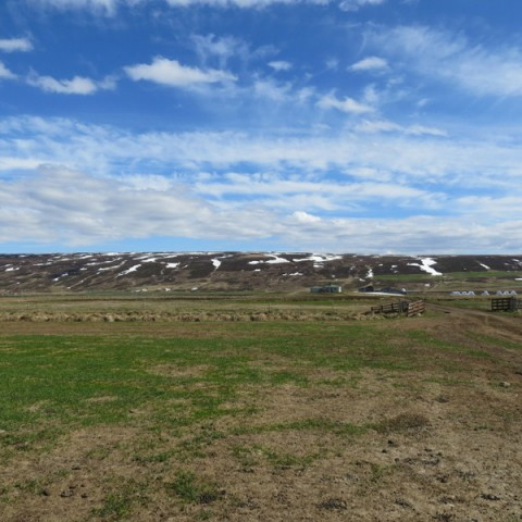 350 milljónir til bænda á kalsvæðum