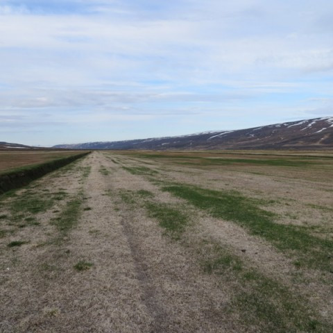 Umræða um kaltjón fór fram á Alþingi í morgun