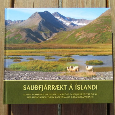 Alhliða fræðslurit um íslenska sauðfjárrækt er komið út