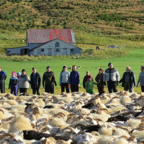 Breyting á ásetningshlutfalli 2014