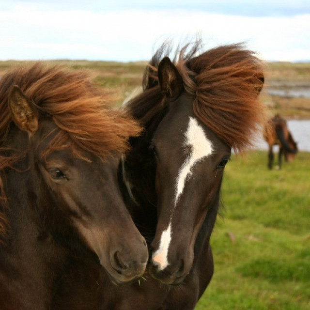 Gjaldtaka vegna grunnskráninga