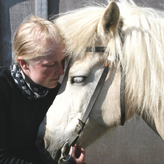 Síðsumarssýning á Sauðárkróki - hollaröð