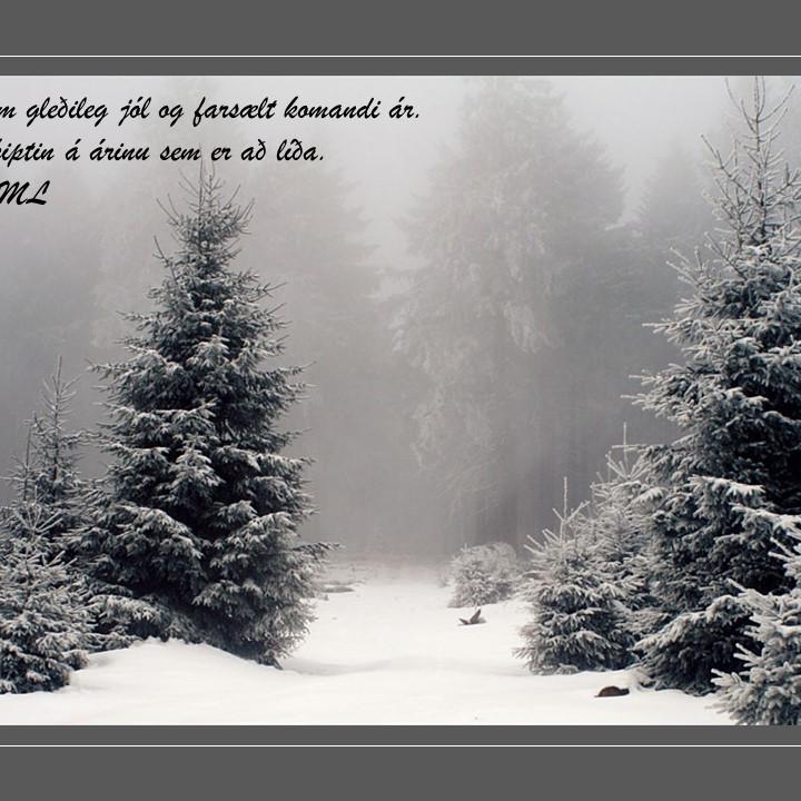 Bestu óskir um gleðileg jól...