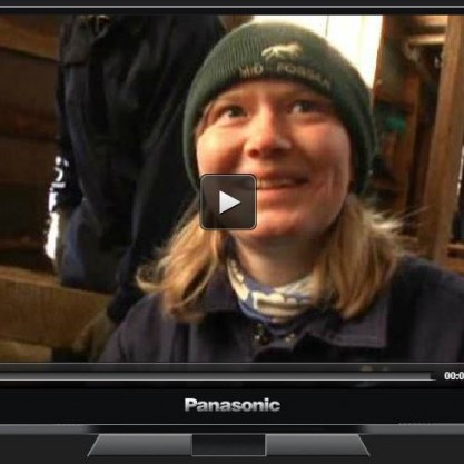 Hrútaþukl í fréttum Stöðvar 2