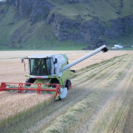 Niðurstöður jarðræktarrannsókna 2012
