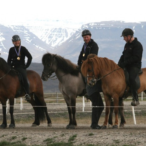 Síðsumarsýningar kynbótahrossa á Sauðárkróki og Dalvík