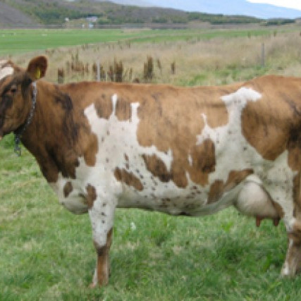 Drottning 355, móðir Nerós 12029