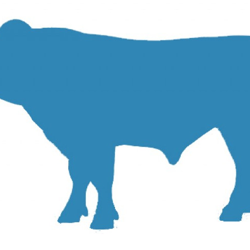 Nú er rétti tíminn til að gera pörunaráætlun