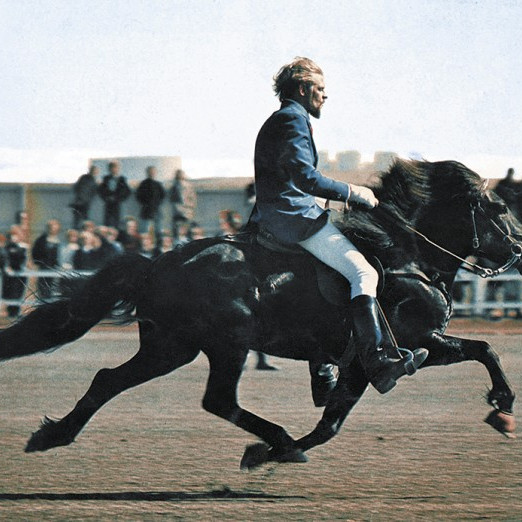 Skeiðgenið - birting í WorldFeng