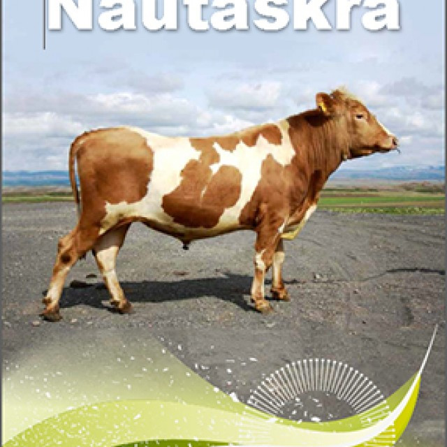 Ný nautaskrá og ungnautaspjöld komin í dreifingu